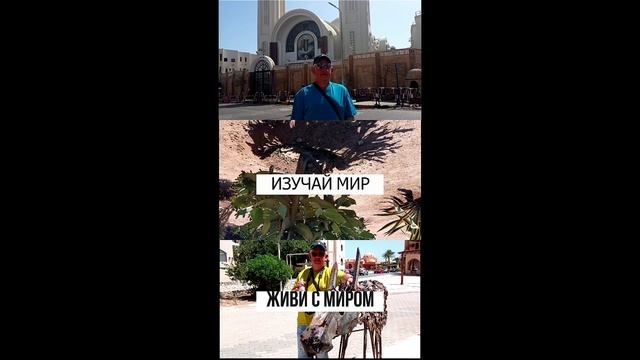 Сторис2-1