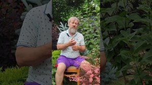 Кому помогает регрессионная терапия?