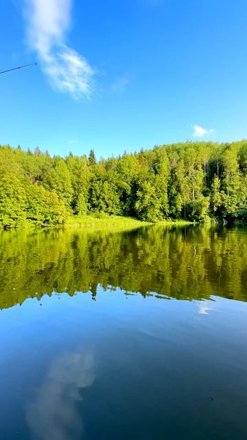 Компактный, легкий и недорогой держатель для двух спиннингов на лодку ПВХ смотреть онлайн