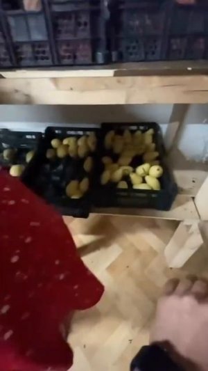 Проверил на спелость+
