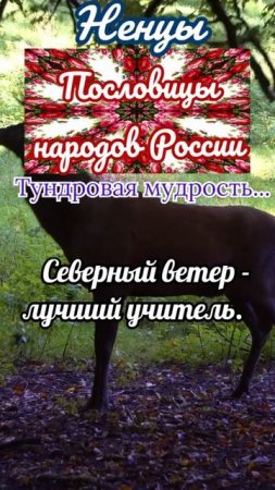 пословицы
