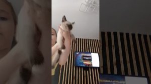 1000027200.mp4