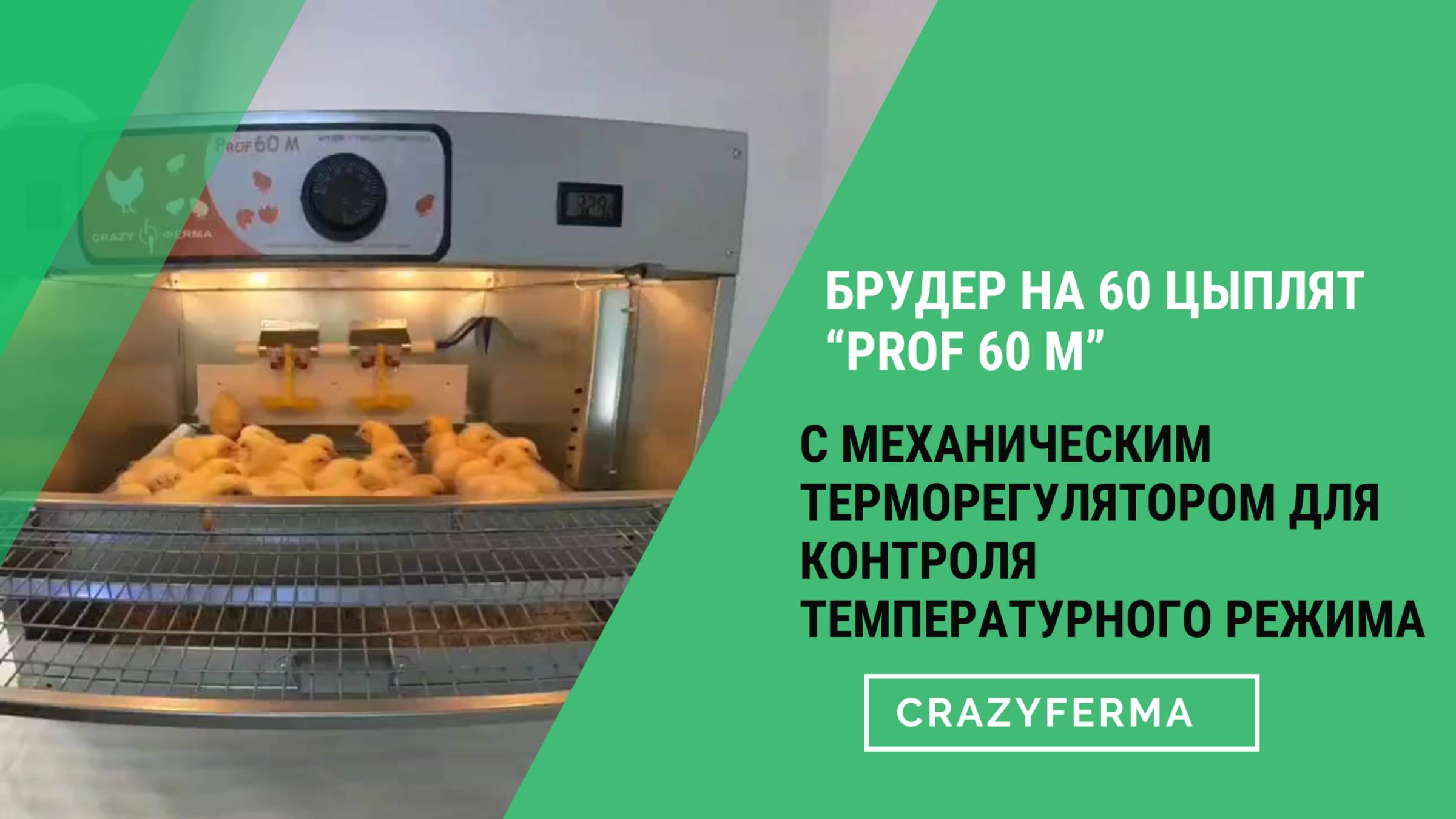 🐥 Видео-обзор брудера для цыплят "Prof 60 M" с механическим терморегулятором смотреть онлайн