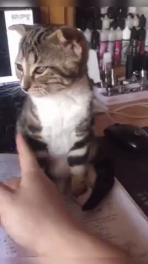 У каждого своё спальное место