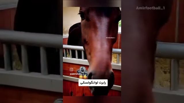 Томас  Мюллер