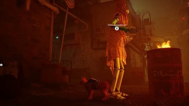 Stray 8 смотреть онлайн