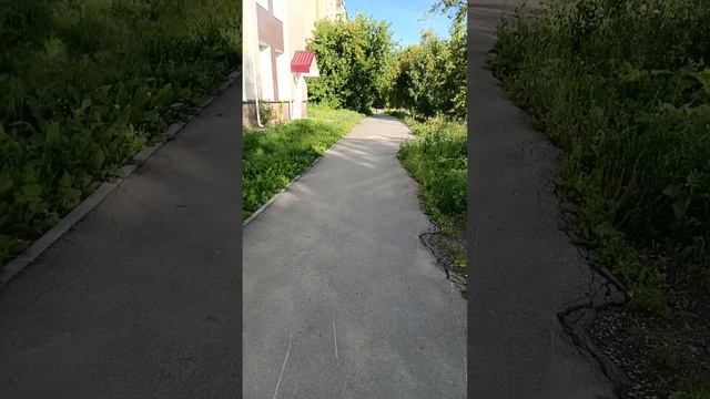 11.07.2025