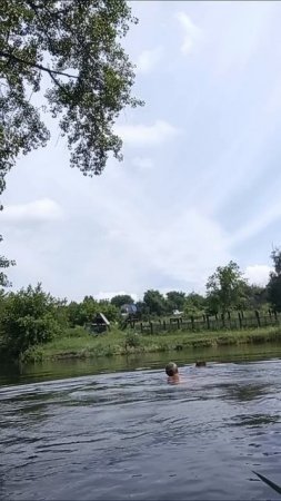 тренировка