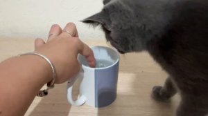 Я играюсь, а вы чем занимаетесь?))))