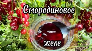 Желе из красной/белой смородины- быстро и без хлопот.