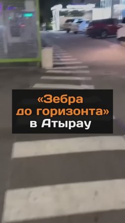"Зебра до горизонта"