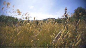 Кадры, в которых хочется остаться жить - под такую музыку особенно - Ashes -- Jahzzar -- Unnamed alb