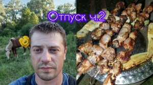 Отпуск ч2 , ремонт гранты,пилю,кошу,отдыхаю..