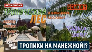 ТРОПИКИ НА МАНЕЖНОЙ: ВОДОПАД. ЧЕРЕПАХИ. РЫБЫ. ПАЛЬМЫ. ЭКСКЛЮЗИВ. ЕЖЕДНЕВНО. Выпуск от 11.07.2025