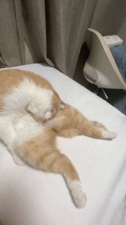 Уснул в позе зюзю