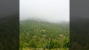 Боровое казахстан