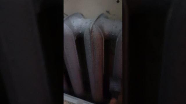 1000030484.mp4