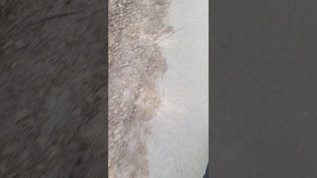 Воспоминание о детстве-2
