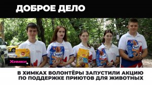 В ХИМКАХ ВОЛОНТЁРЫ ЗАПУСТИЛИ АКЦИЮ ПО ПОДДЕРЖКИ ПРИЮТОВ ДЛЯ ЖИВОТНЫХ