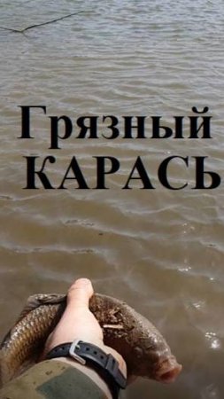 🔥Сразу двоих: КАРАСЬ и ГУСТЕРА🔥 ...на Волге!!