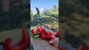 Отдых на природе