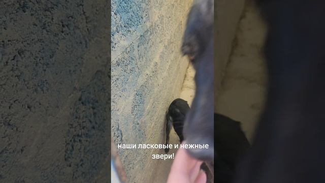 это любовь
