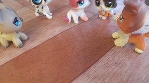 lps фильм у бабушки и дедушки