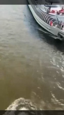 Мужчина исполнил сальто с Крымского моста в Москву-реку в самый разгар жары в столице.