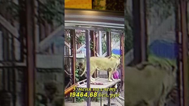 на счету Шерхана на 11.07.2025