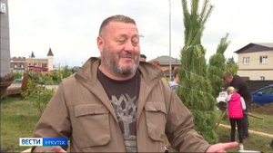 Несколько десятков хвойных деревьев высадили возле одного из ЖК в Иркутске