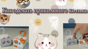 Как сделать котика