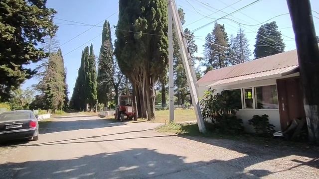 Абхазия Лдзаа Лидзава Пицунда Цены 10 июля 2025 г.