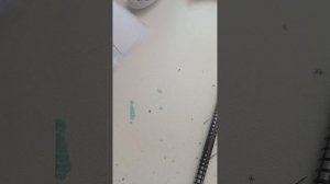 бумажная косметика