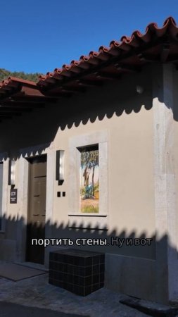 Совы