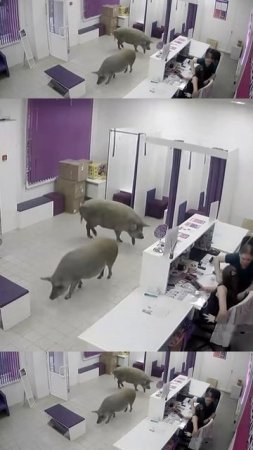 Наш заказ еще не пришел?
