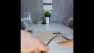 Как вырастить детку орхидеи на срезанном цветоносе. Мой опыт.