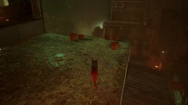 Stray 12 смотреть онлайн