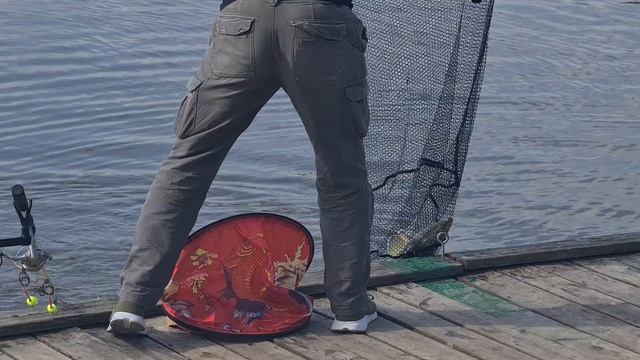 Осётр смотреть онлайн