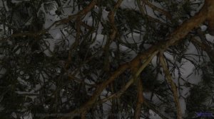 Видео, которое можно понять только с расширенным сознанием - испытайте! - Green Moon -- Overhill Ln