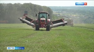 В Белгородской области идет активная заготовка кормов на зиму