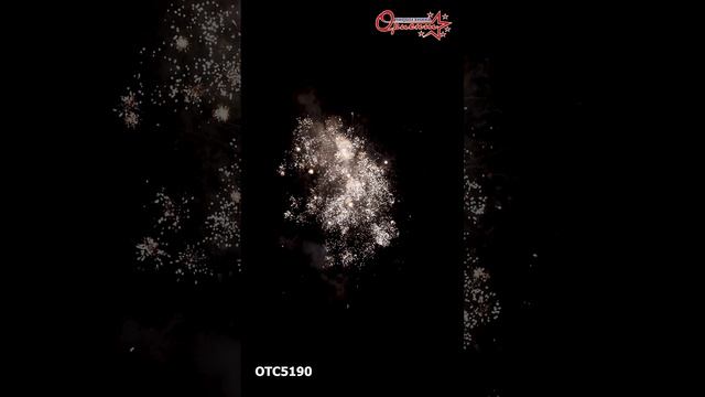 OTC5190  2025г