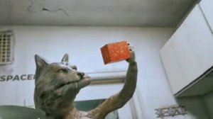ЧАСТЬ КОМАНДЫ, ЧАСТЬ КОРАБЛЯ
