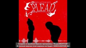 PLEAD