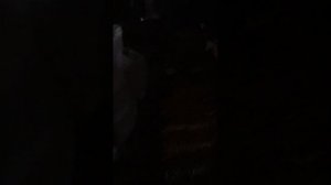 В деревне Козочки