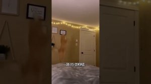 1000054054.mp4