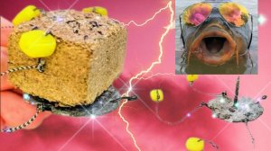 Макушатник из того, что есть дома — простая и работающая снасть! 🐠🐋🐟