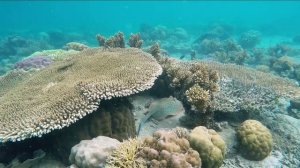 День рыбака