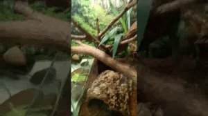 1000009322.mp4