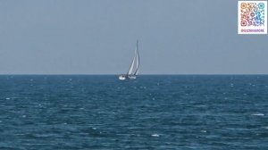 ГЕЛЕНДЖИК. МЕНЯ ОБВИНЯЮТ в ФЕЙКАХ. РАЗГАР ЛЕТА. ЦАКАДЫ - МОРЕ - КРАСОТА!