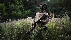 Российские военные освободили населенный пункт Зеленая Долина в ДНР